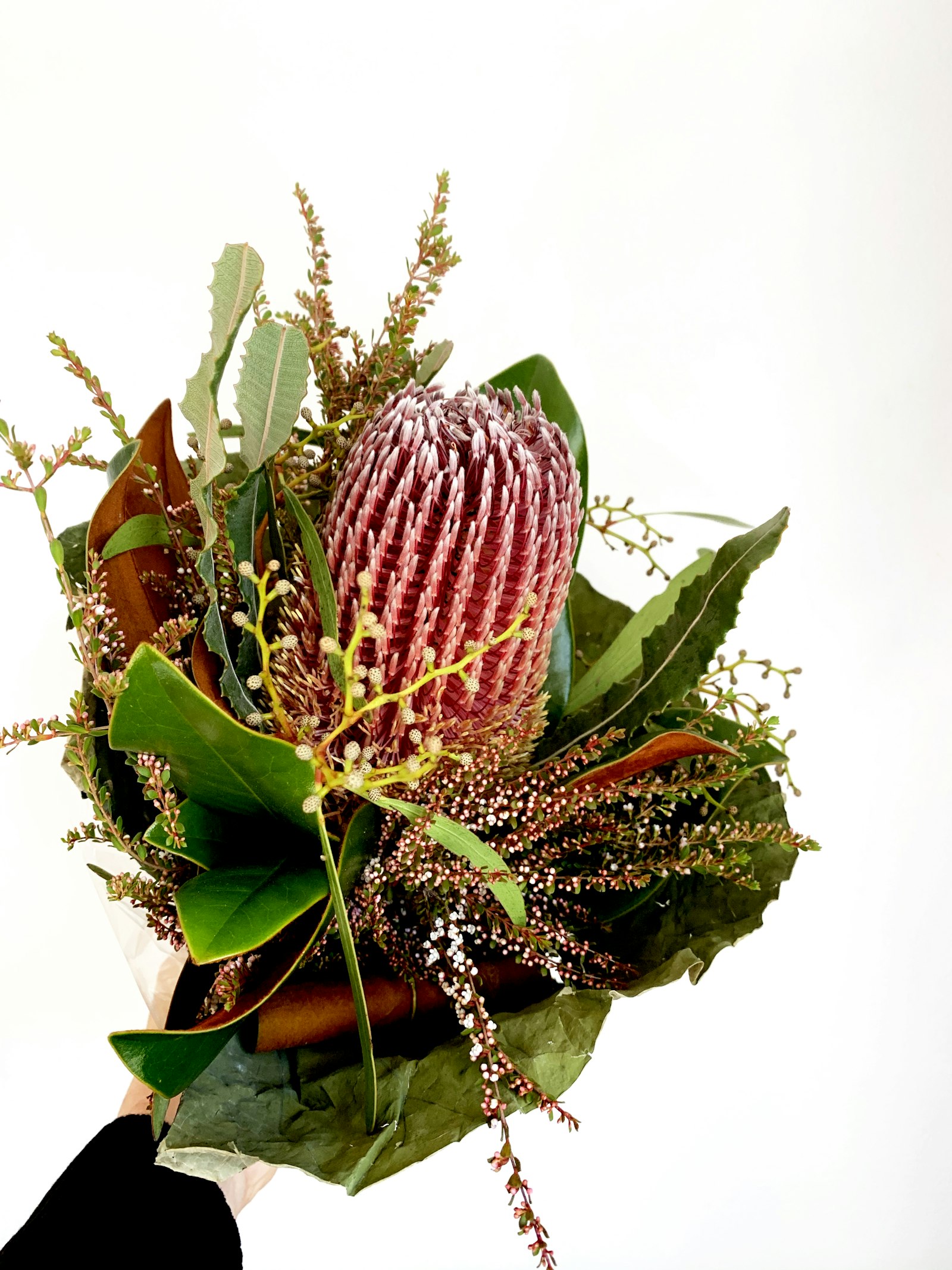Banksia fotografie produs