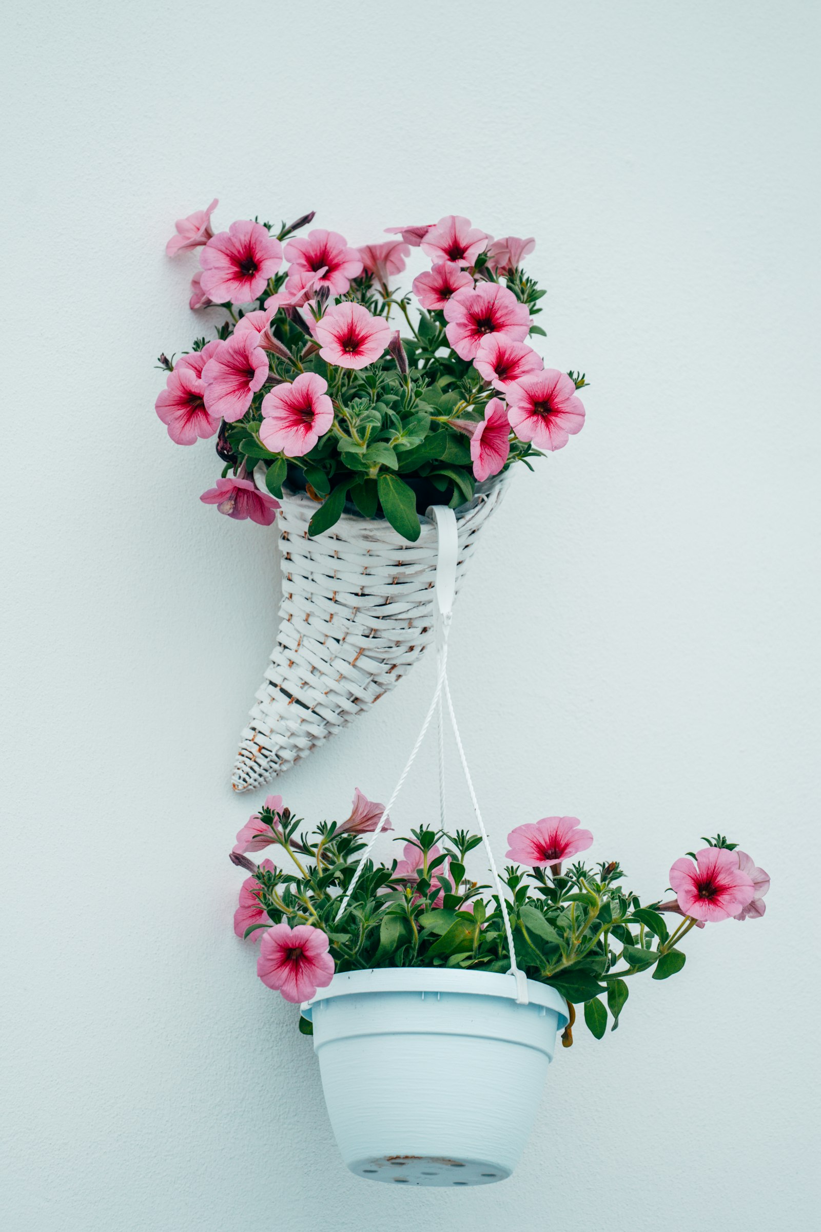 Hortensie in aranjament floral premium