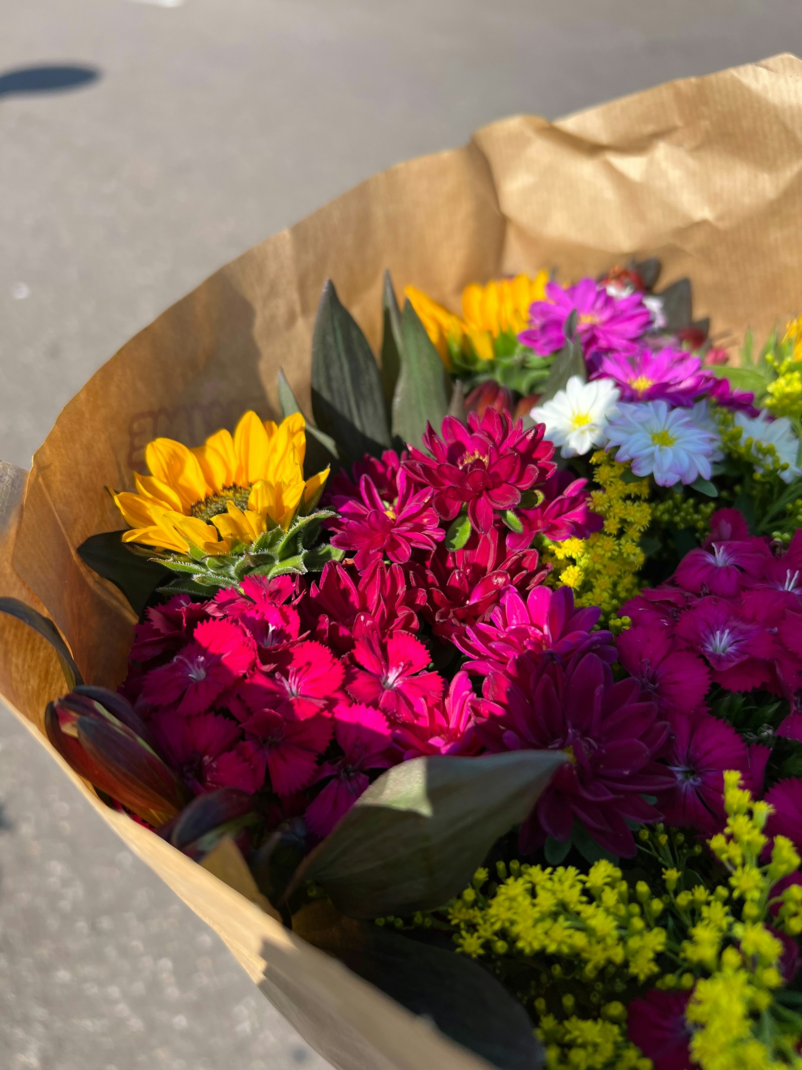 Solidago fotografie produs